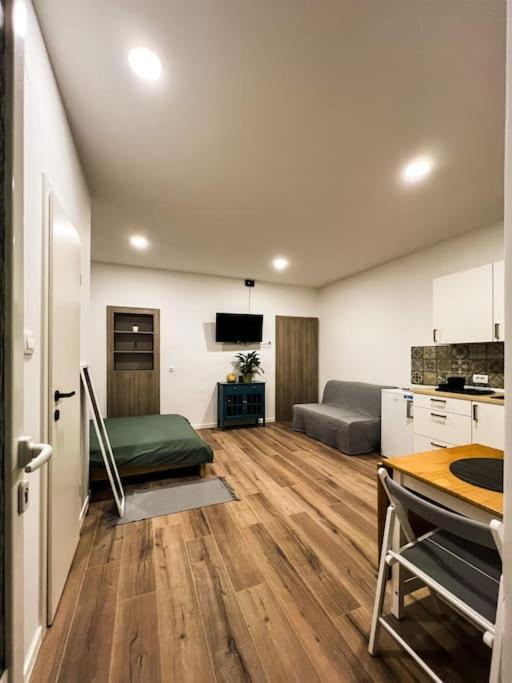Studio Apartment Joanna Рієка Екстер'єр фото