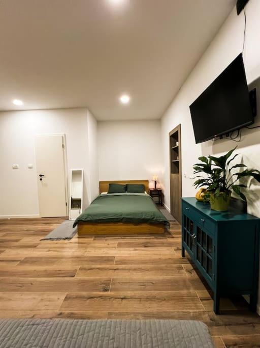 Studio Apartment Joanna Рієка Екстер'єр фото