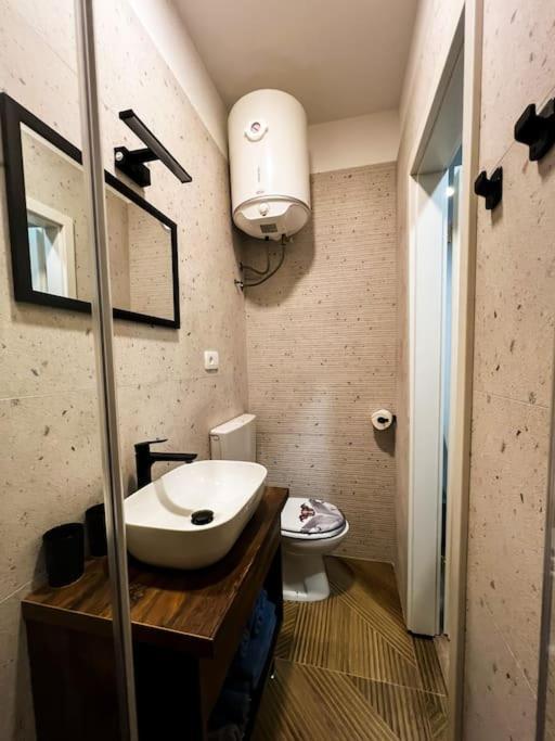 Studio Apartment Joanna Рієка Екстер'єр фото