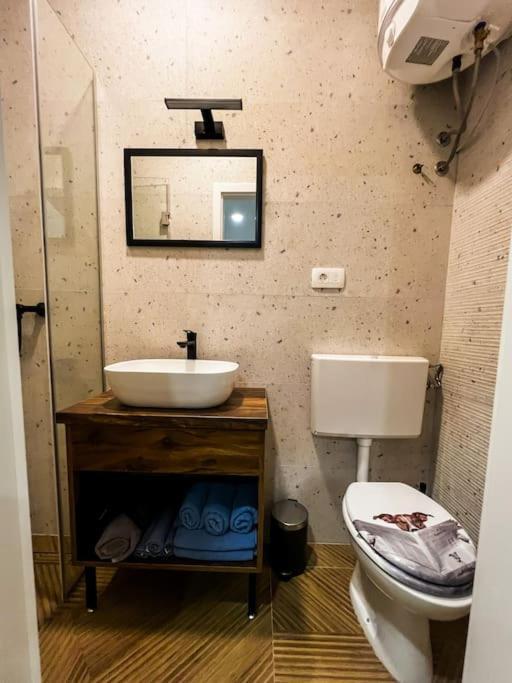 Studio Apartment Joanna Рієка Екстер'єр фото